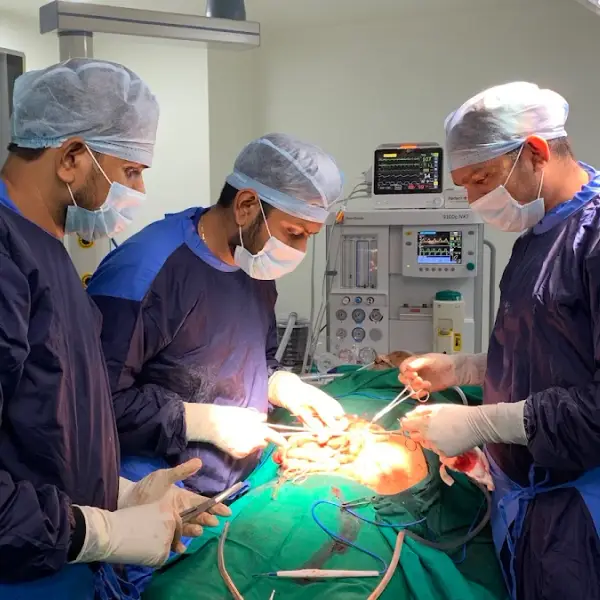 Dr Jenit Gandhi