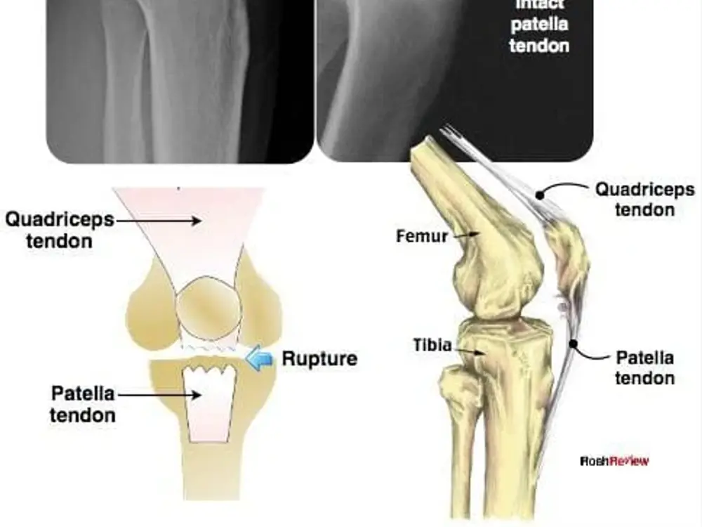 Navjeevan Physiotherapy Centre, Sector 19, Faridabad