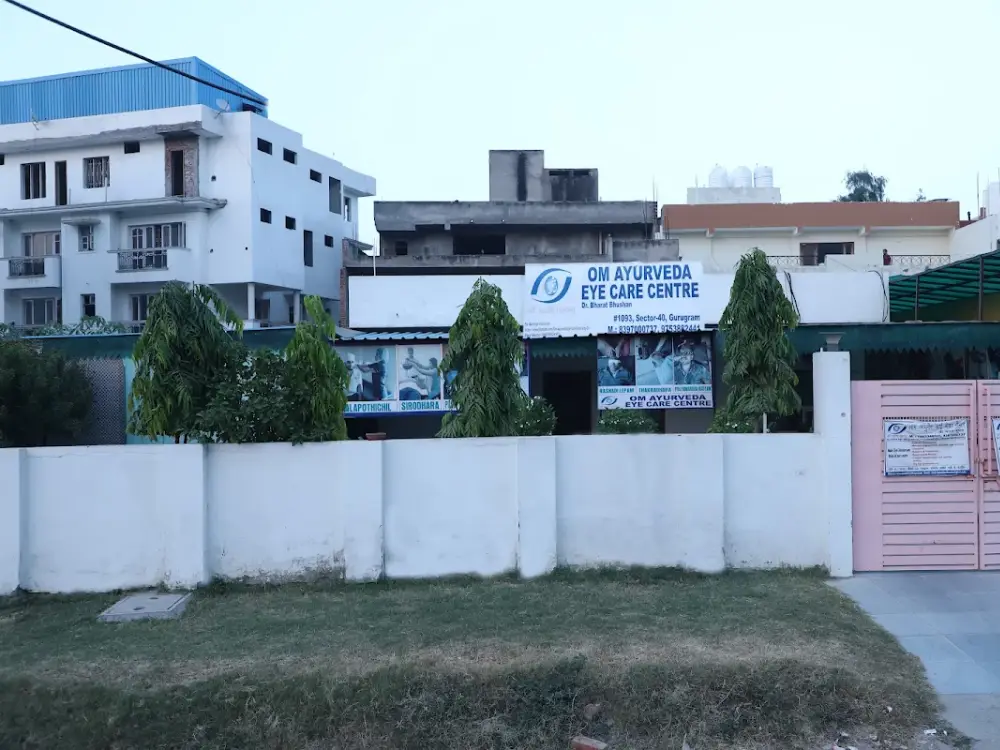 Om Ayurveda Eye Care Centre, Sector 40, Gurgaon
