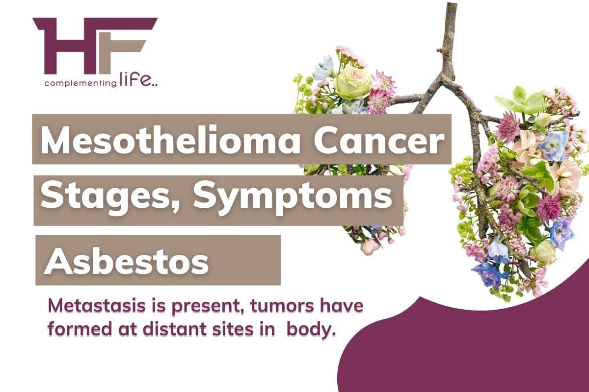 What is Mesothelioma Cancer ? – It’s Stages & Symptoms