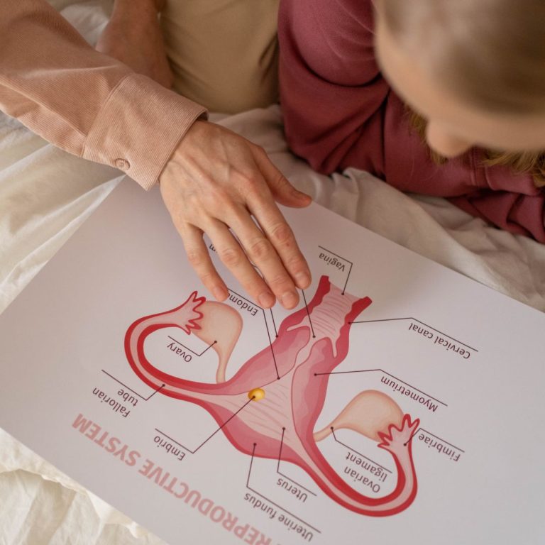 Do You Know Why Your Uterus Got Weak After A Certain Age HealthFinder