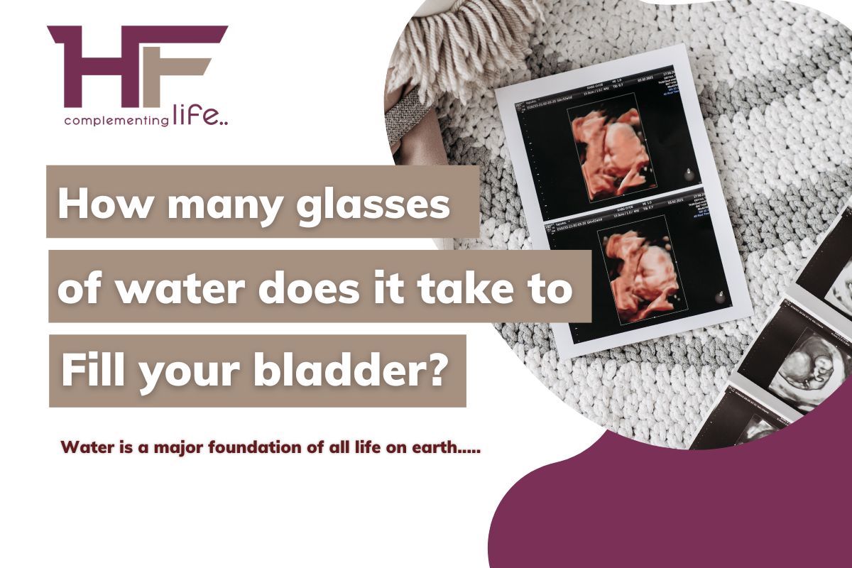 How many glasses of water does it take to fill your bladder? 