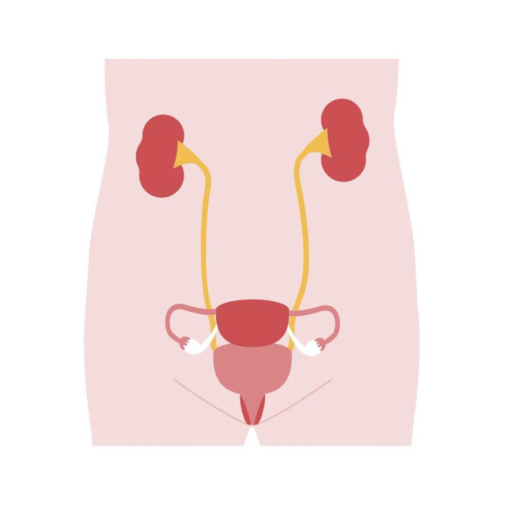 How Many Glasses Of Water Does It Take To Fill Your Bladder? HealthFinder