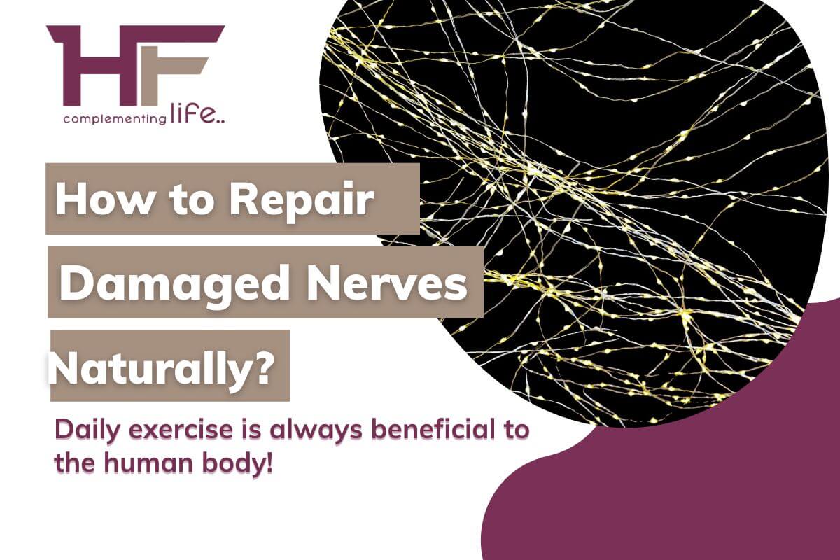 How To Repair Damaged Nerves Naturally?